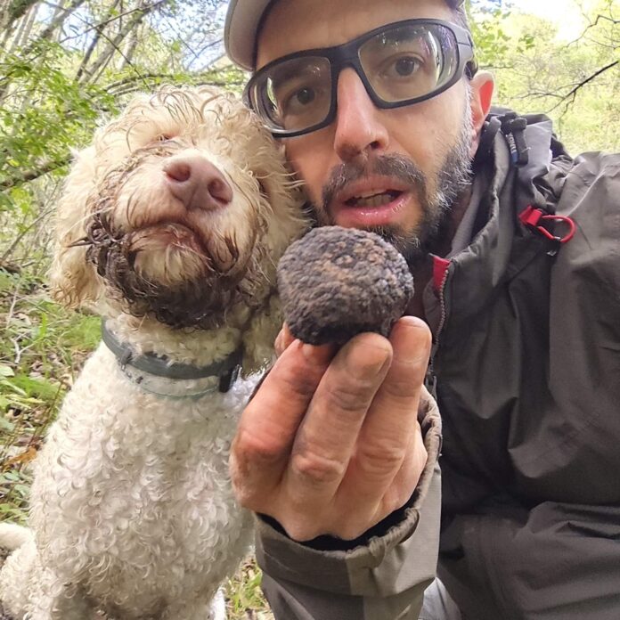 Ricerca del tartufo