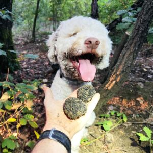 Ricerca del tartufo