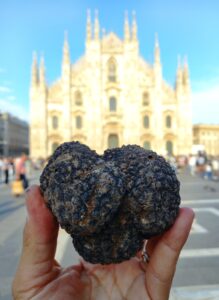 Ricerca del tartufo