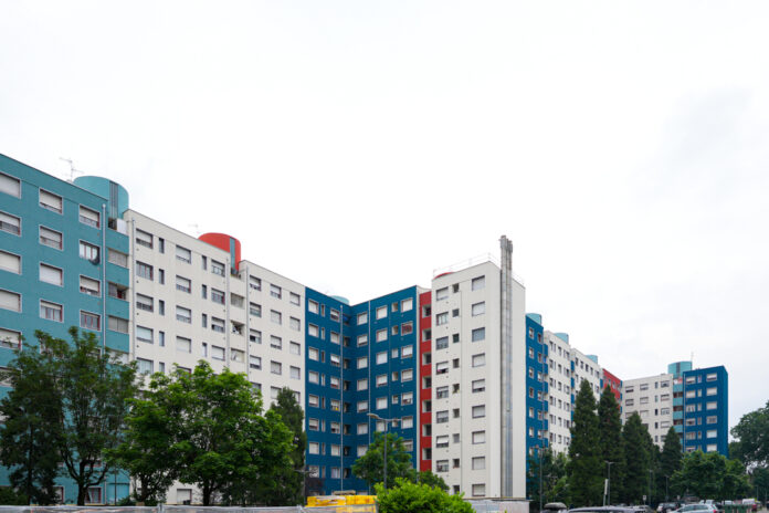 zama-salomone